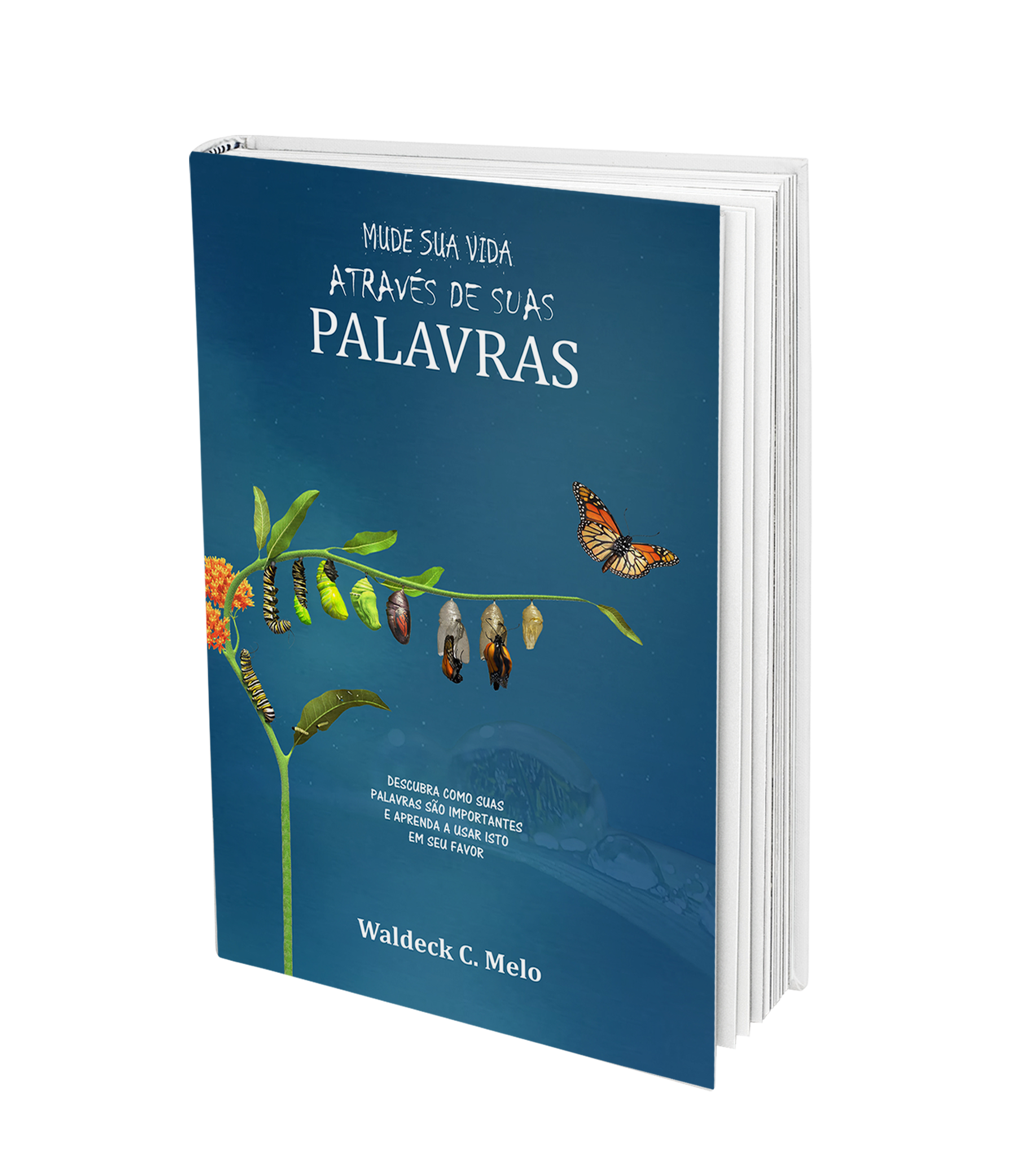 Mude Sua Vida Através das Suas Palavras